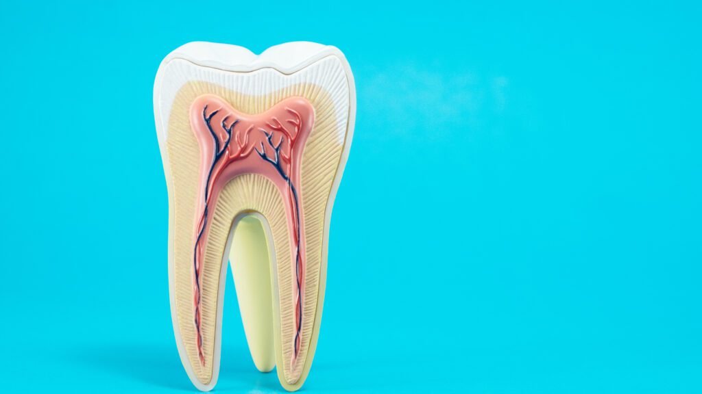 Understanding the role of acidity in tooth decay