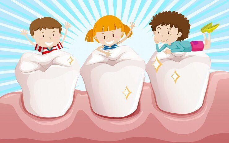 Different Teeth, Different Purposes: Understanding the Unique Roles of Your Teeth