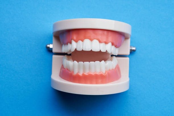 Caring for Dentures: Tips for Keeping Them Clean and Comfortable