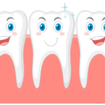 3 Surprising Facts About Your Gums: The Unsung Heroes of Oral Health