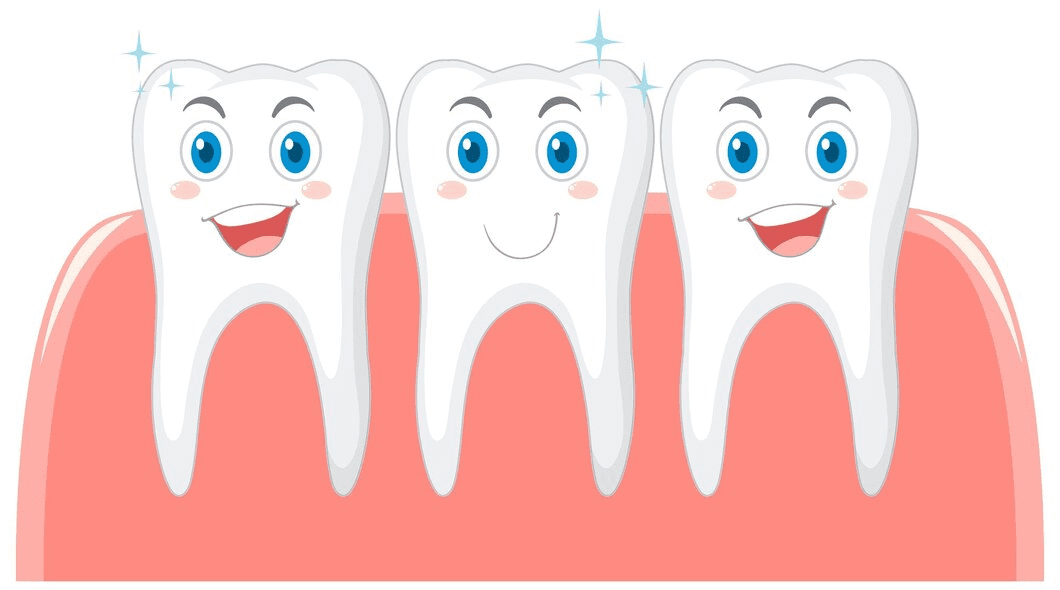 3 Surprising Facts About Your Gums: The Unsung Heroes of Oral Health