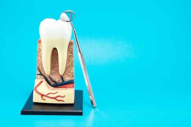 What is Root Canal?