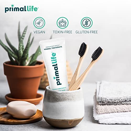 Primal Life Organics Premium Dirty Mouth Mineral Toothpaste - Nano-Hydroxyapatite, Colloidal Silver, Charcoal - Organic, All Natural Whitening Formula (Bubblegum Flavor, 4oz)