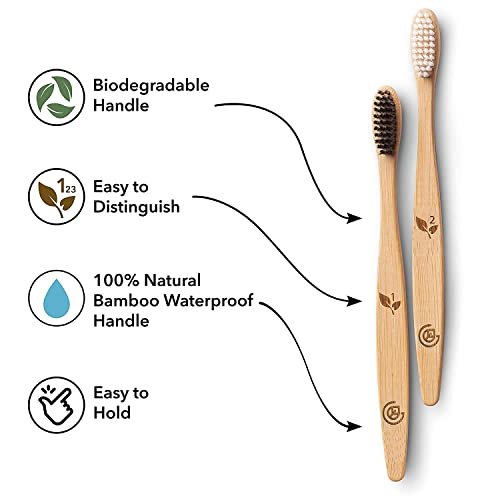 Greenzla Bamboo Toothbrushes for Adults, Wooden Toothbrush Set with Sturdy Soft Bristles, Includes Brush Travel Case and Charcoal Dental Floss, 12 Pack