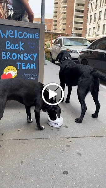 Bronsky Orthodontics - Tribeca 5