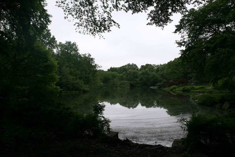 Central Park Oral Surgery NYC 4