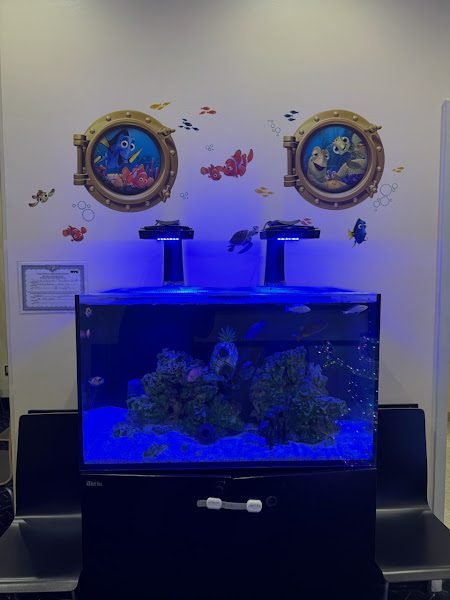 Dr. Jerry Ashrafi, DMD, MA, PLLC - Pediatric Dentist