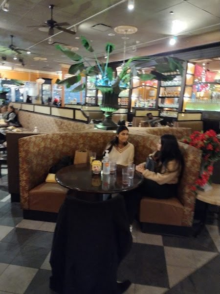 Florence Flores D.D.S.P.C. 3