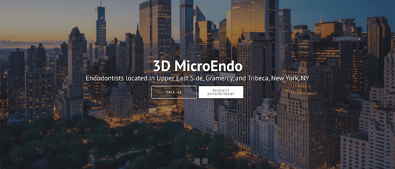 3D MicroEndo