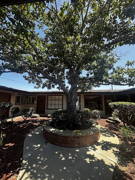 Ali Haeri DMD MHS Dentist 6