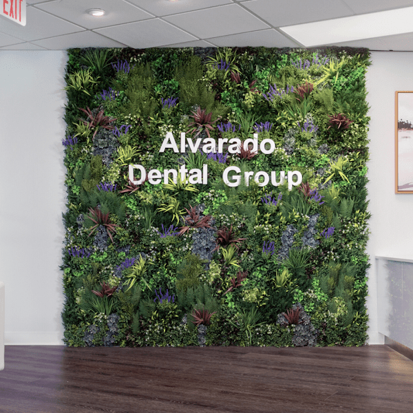Alvarado Dental Group