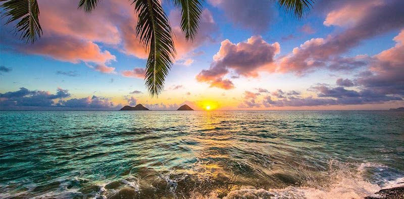 Andrew R Chapokas DMD, MSD 6