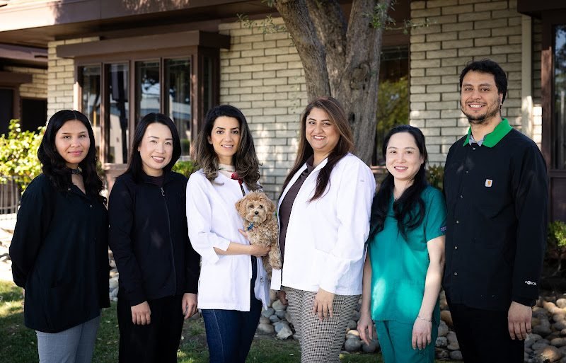 Bay Area Dental & Implant Center
