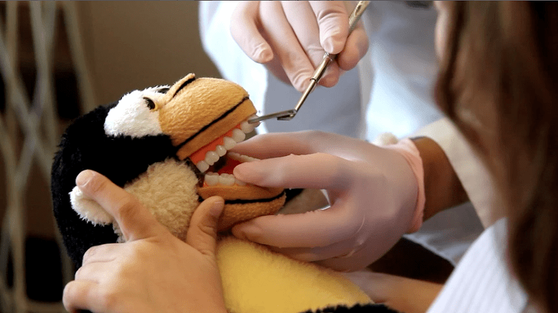 Bay Area Kids Dentistry