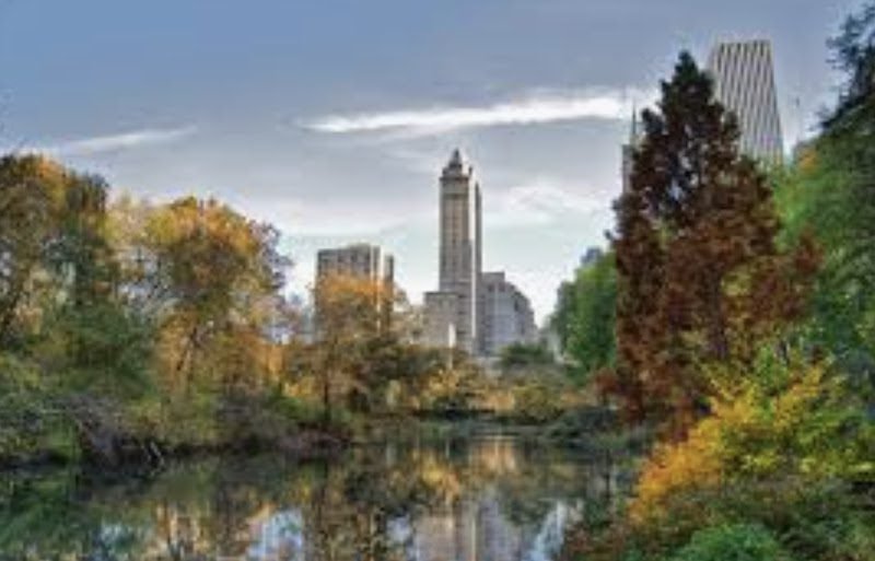 Dr. Harrison L. Chen 2