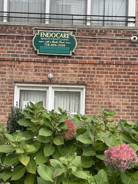 ENDODONTIST NYC Dr. Cezar M. Mitrut D.M.D. 5