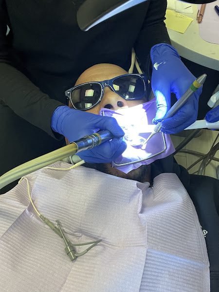 Jamie Y. Lee, DDS, MS / New York Endodontics Studio / Midtown