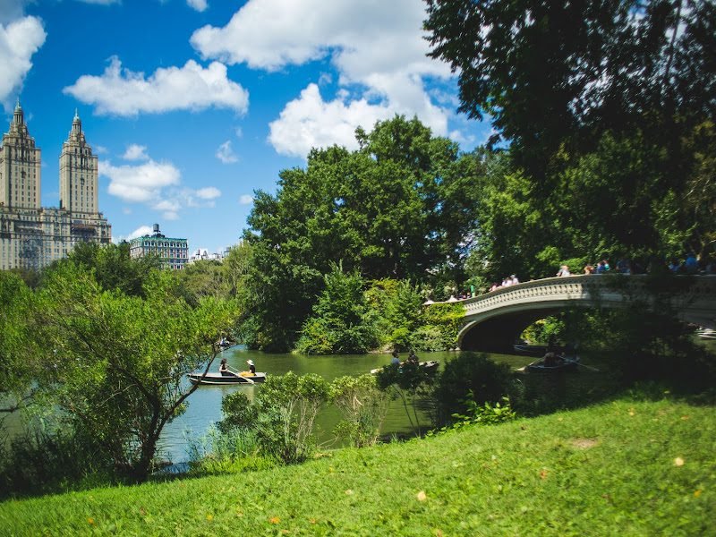 Oral & Maxillofacial Surgery of New York City