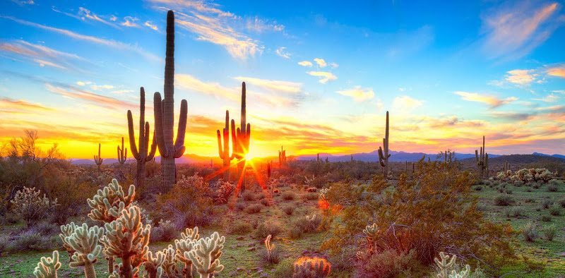 Pinnacle Peak Oral Surgery & Dental Implants: Eugene J. Kim, DDS