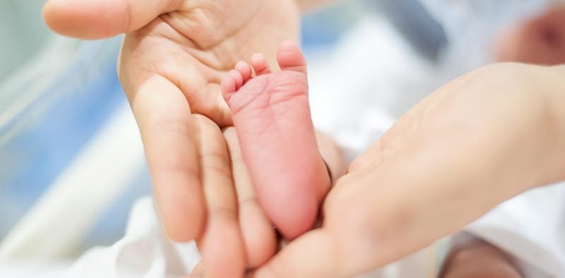 Robert W. Berg, DMD PC 3