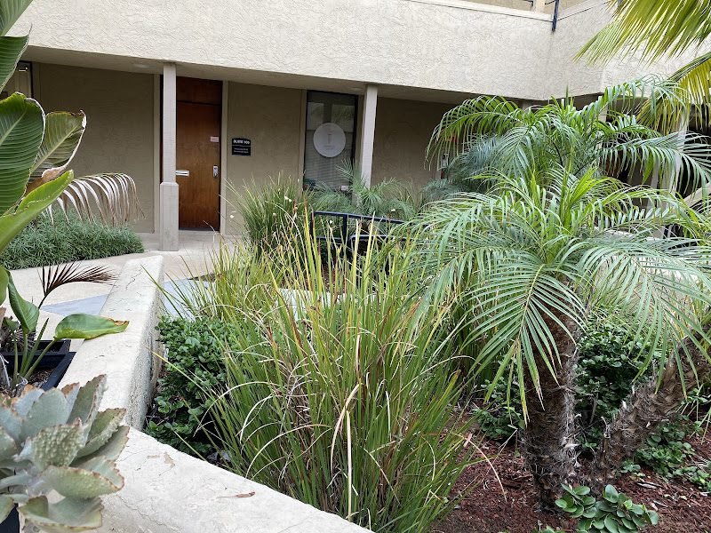 SD Implants & Aesthetics 2