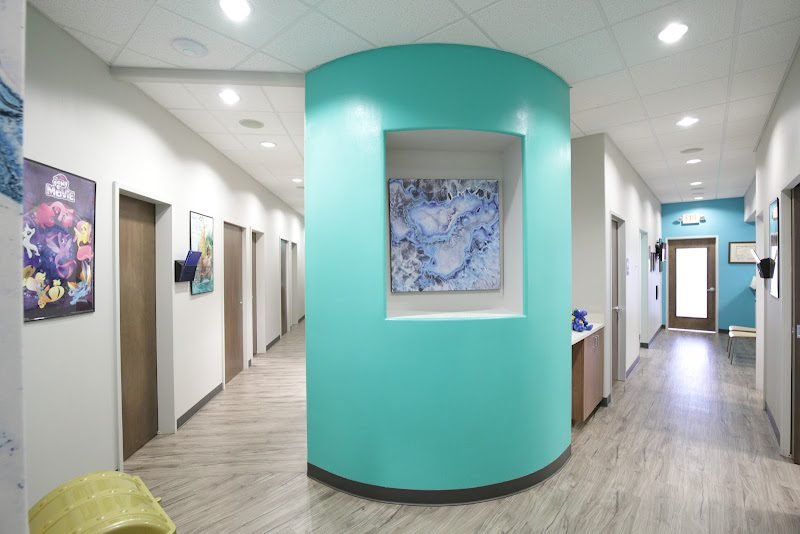 Texas Tiny Teeth Pediatric Dentistry & Orthodontics Irving