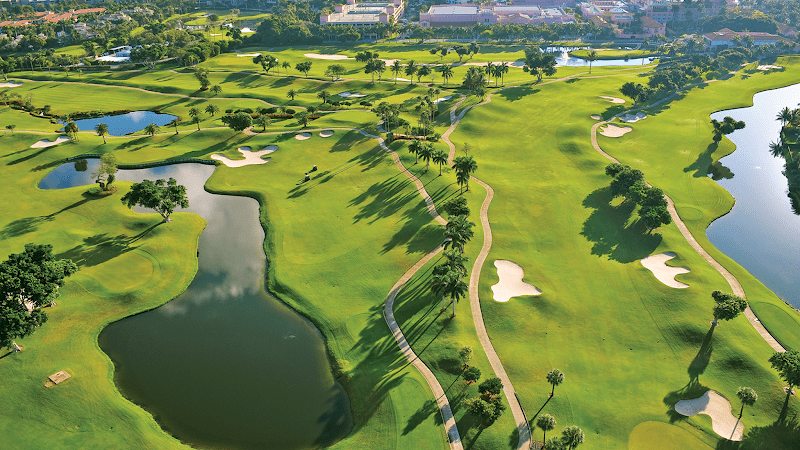 Imray and Gesek DMD, PA