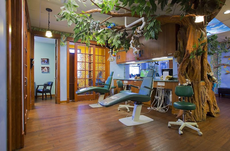 A Wild Smile Pediatric Dentistry