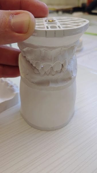 Aligne Orthodontics & Orthotropics: Stepanka Chae, DDS