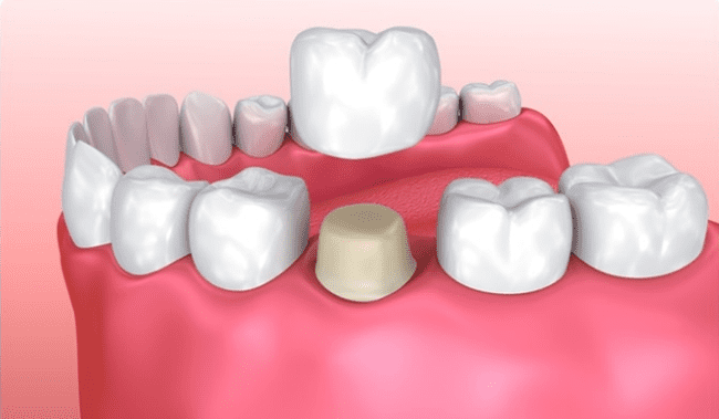 Bloom Pediatric Dentistry
