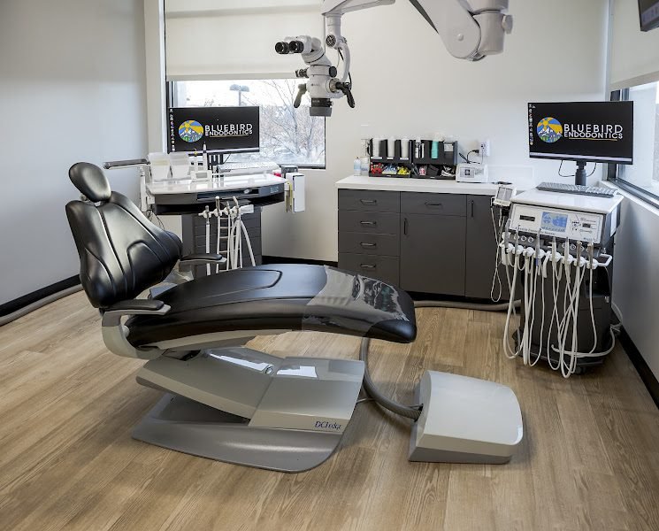Bluebird Endodontics