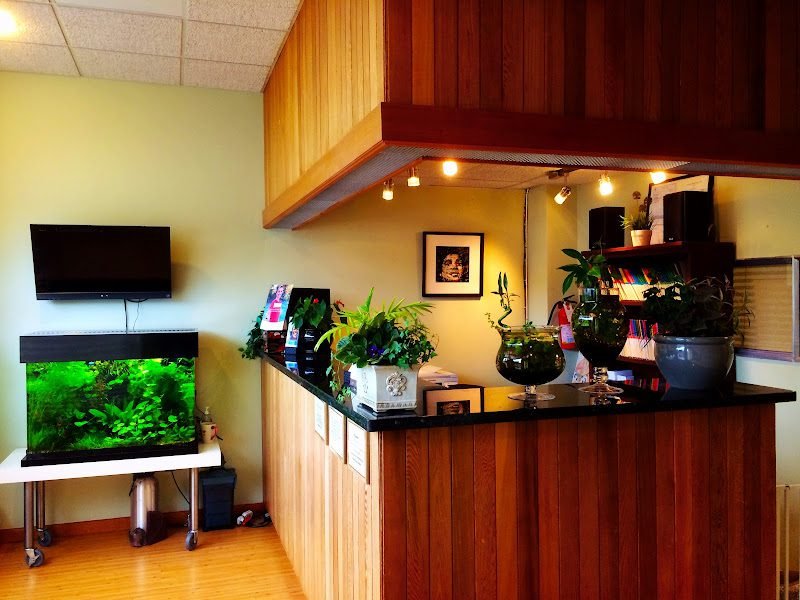 Greenwood Smile Dental: Hailun Wu, DMD