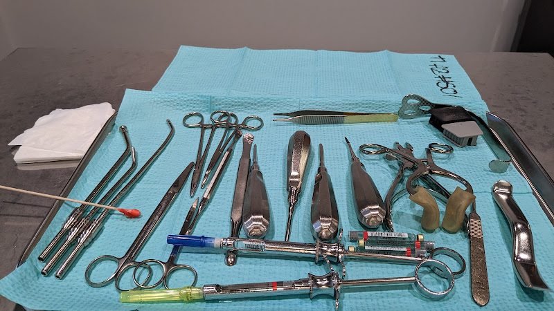 Mark Glyman, MD, DDS, FACS 2
