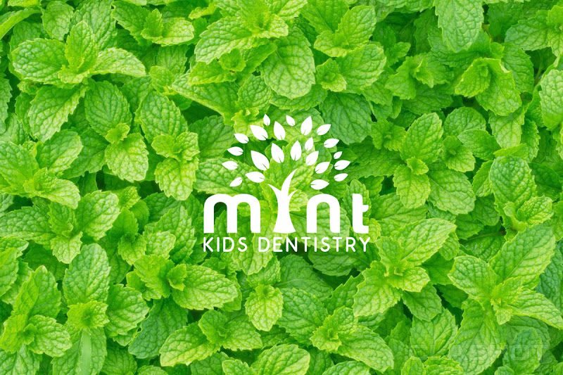 Mint Kids Dentistry