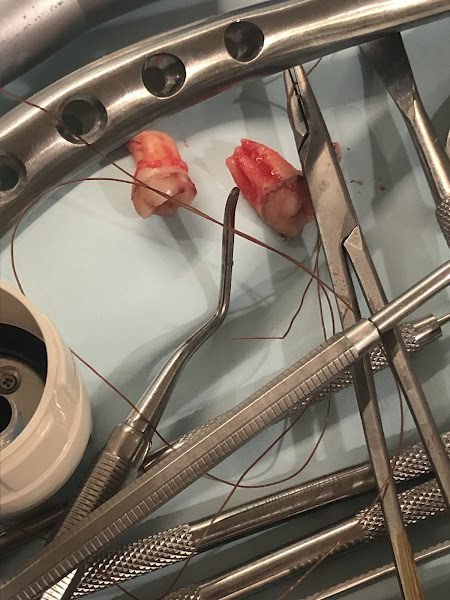 Now Dentistry