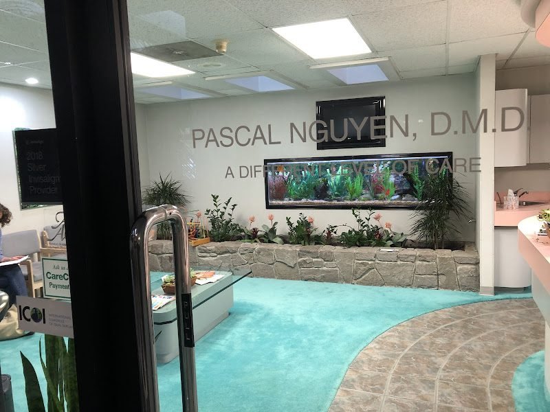 PJN Dental