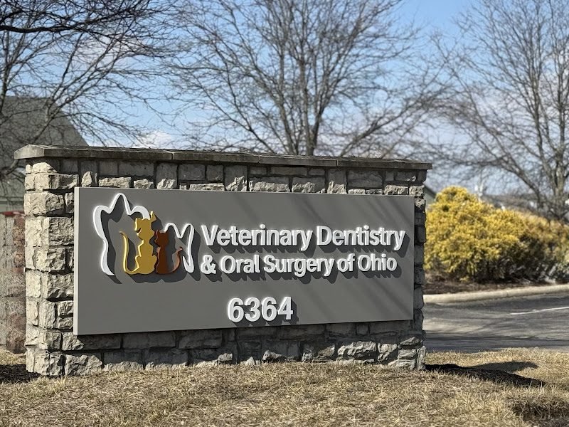 Veterinary Dentistry and Oral Surgery of Ohio