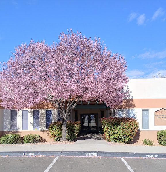 ABQ Pediatric Dentistry: Spencer J. Tasker, DMD