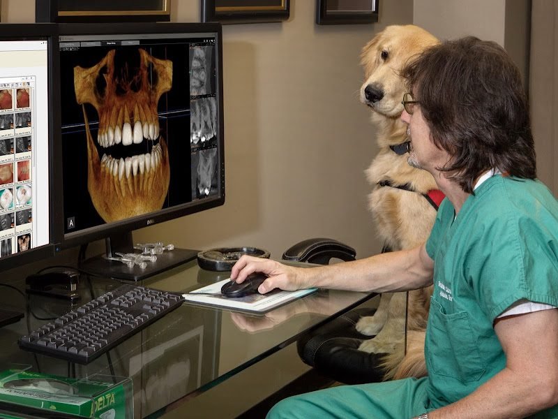 Atlanta Endodontics