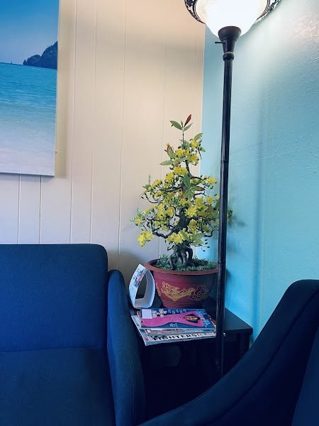Dr. Judith J. Vue, DDS