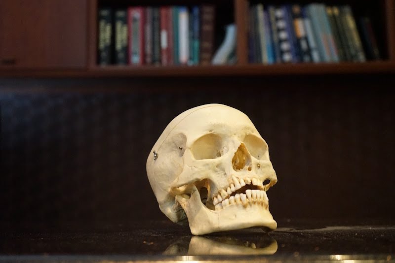 Facial Surgery Institute