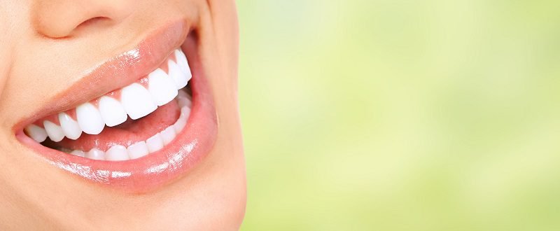 Lee Plaza Dental