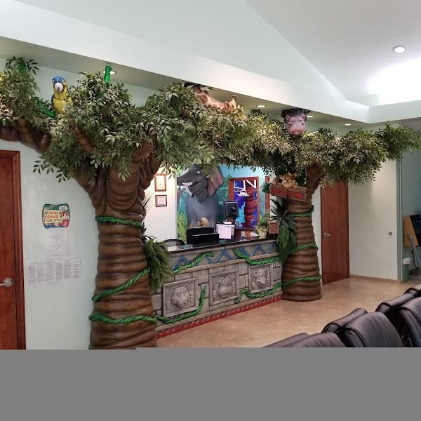Mentor Pediatric Dentistry