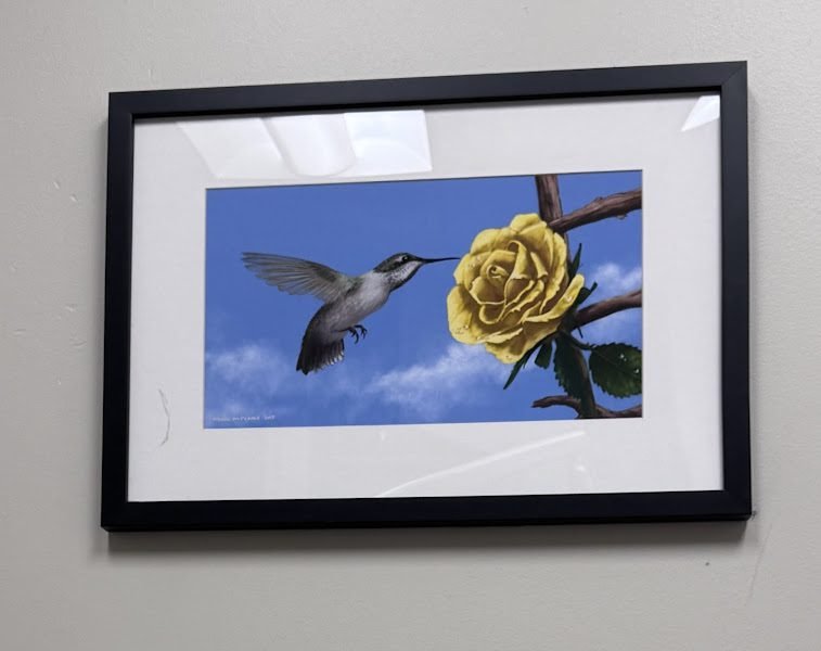 Metro Dentalcare Specialty Center Richfield - Endodontics