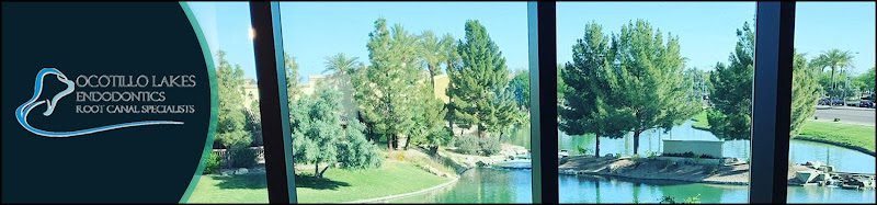 Ocotillo Lakes Endodontics