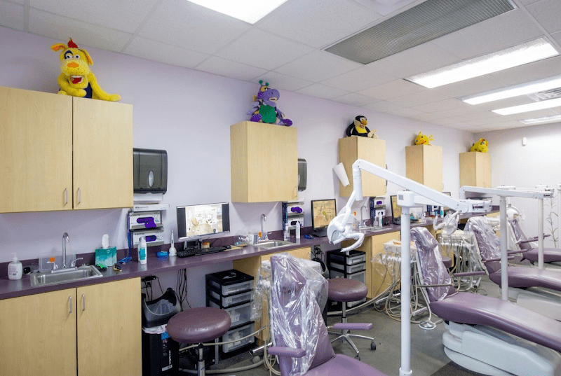 Perry L Jeffries DDS and Associates PA - Raleigh