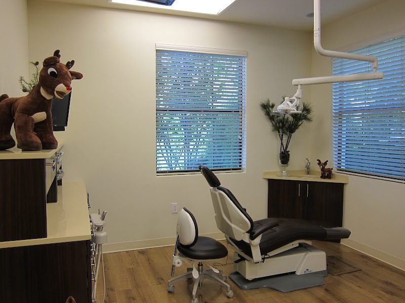 South Tampa Pediatric Dentistry