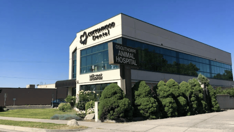 Cottonwood Dental