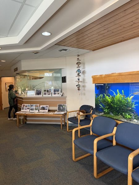 Holistic Dentistry of Hawaii, David T. Doi DDS Inc.