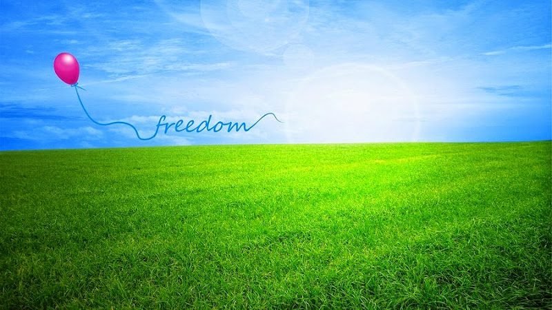 Holistic Therapy & Healing 3